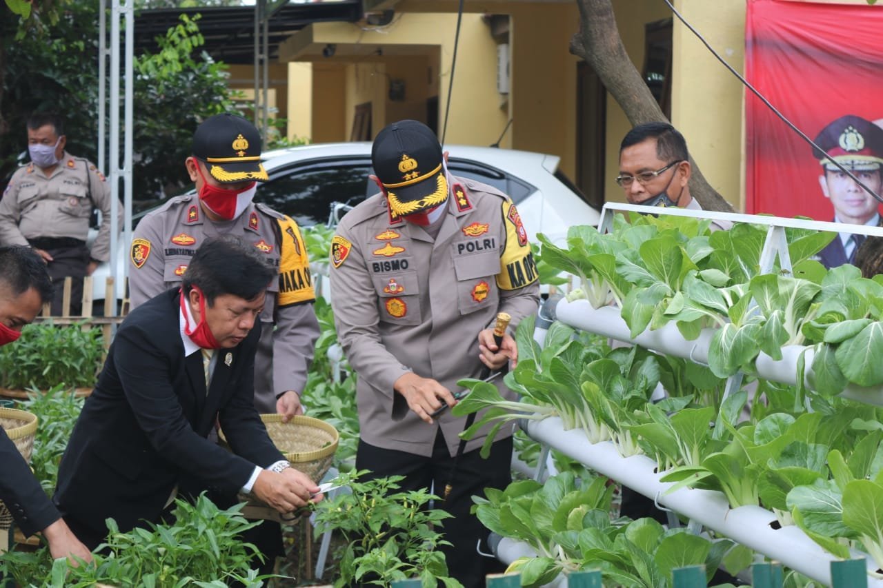ditengah-pandemi-kapolres-majalengka-panen-lele-dan-sayur-2207212-rev1.jpg