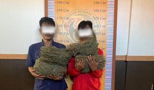 wow-satres-narkoba-polres-subulussalam-berhasil-ungkap-ganja-5-kg-220823h.jpg